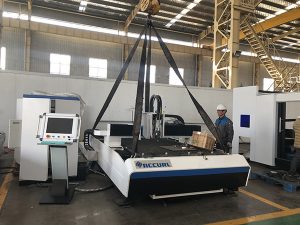 Tagliatrice del distintivo della fabbrica della Cina + taglierina laser a fibra intercambiabile